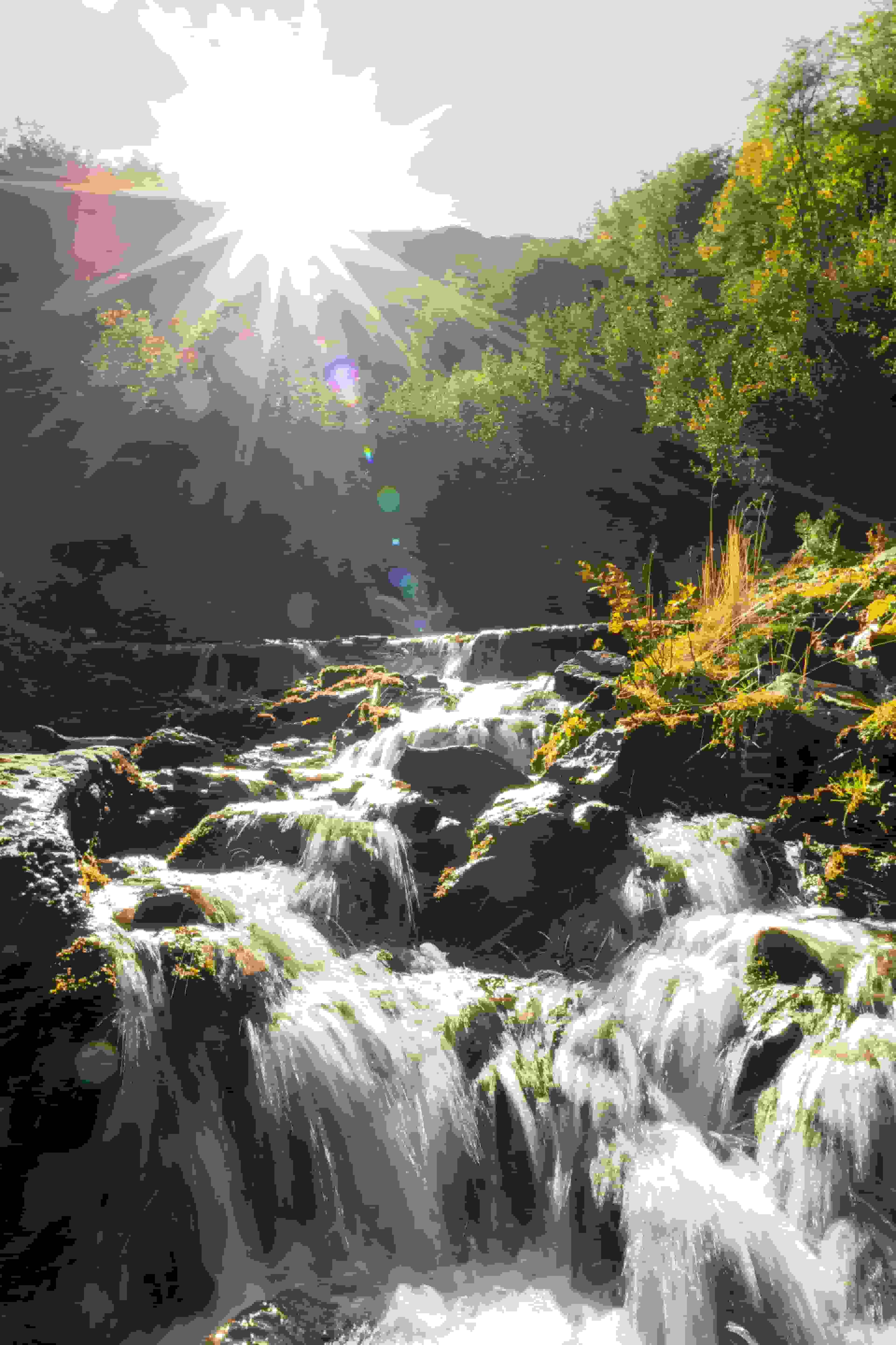 Ruisseau du Vouteret