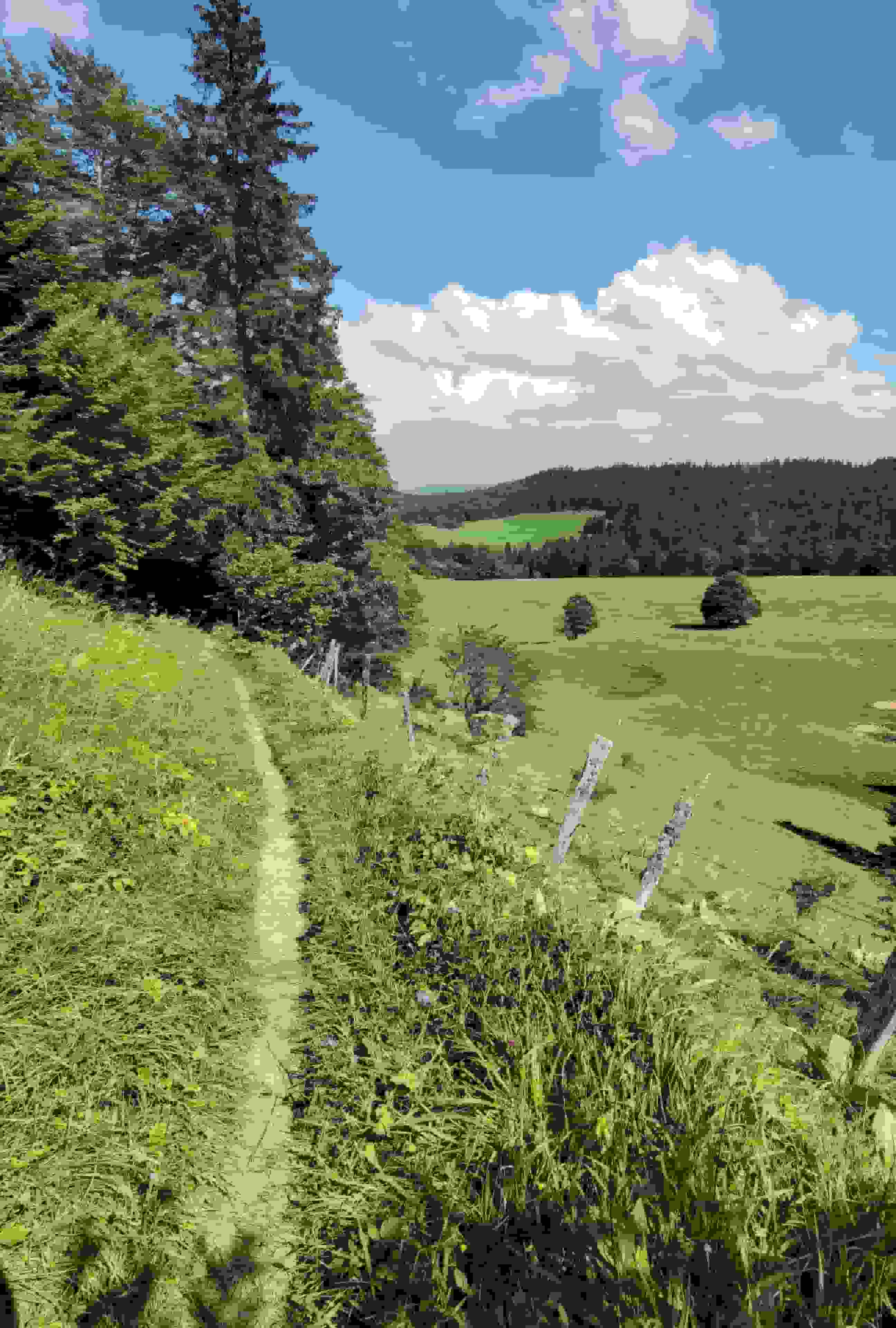 Sentier sur les flans de la Côte du Cerf