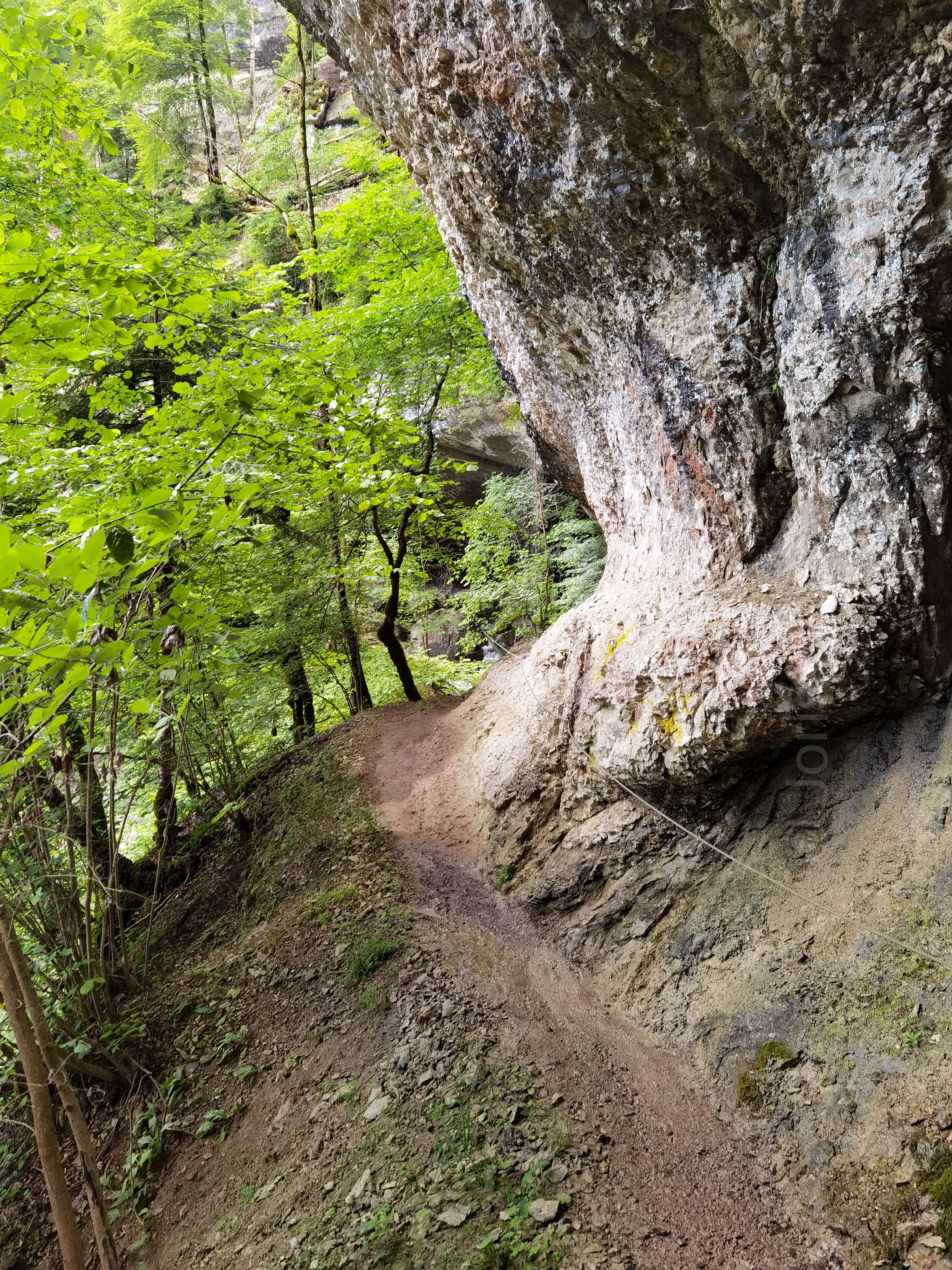 Sentier crêté et terreux dans la forêt, flanqué de roches avec une corde pour sécuriser la marche.