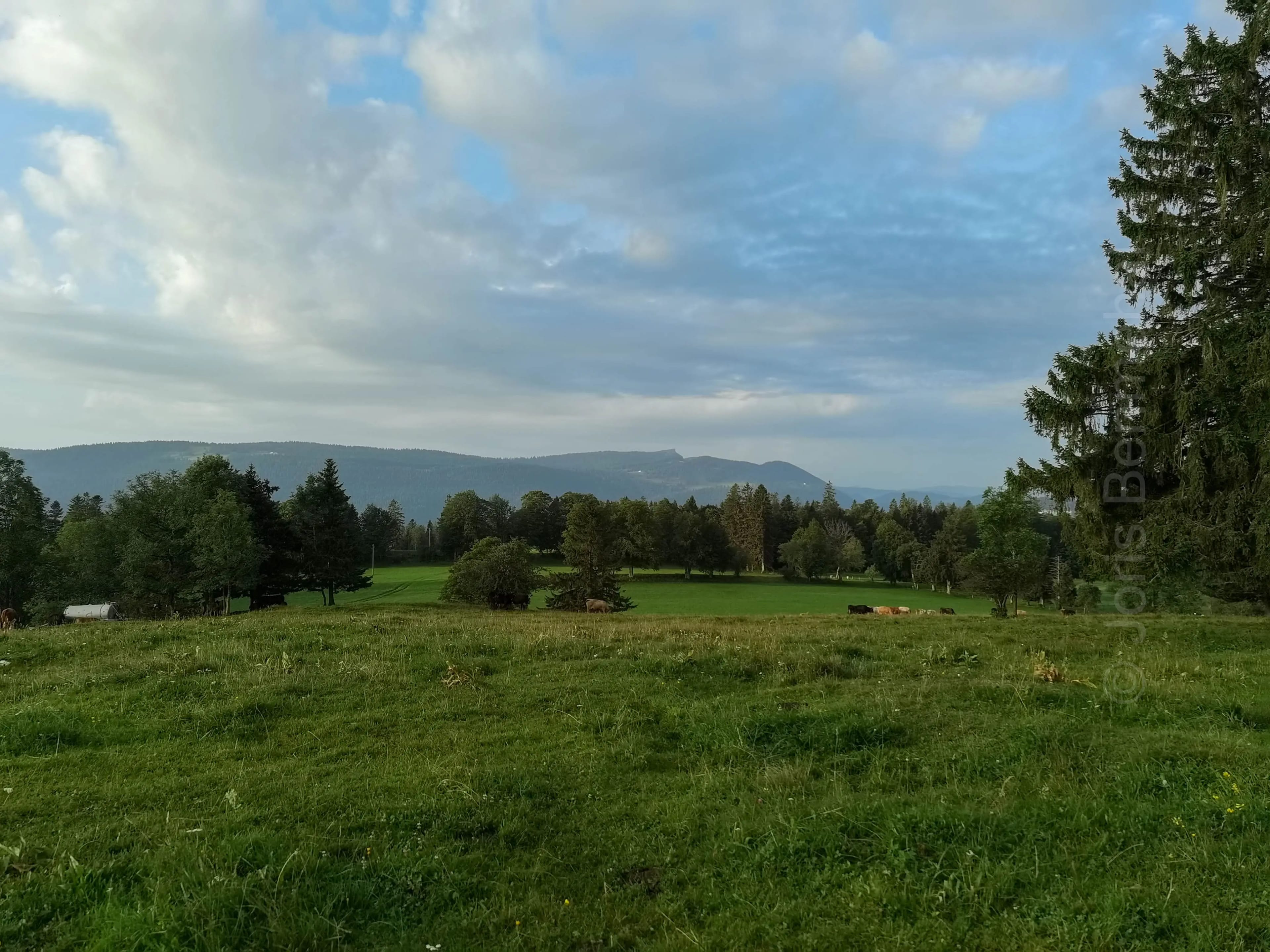 Les paysages du Jura