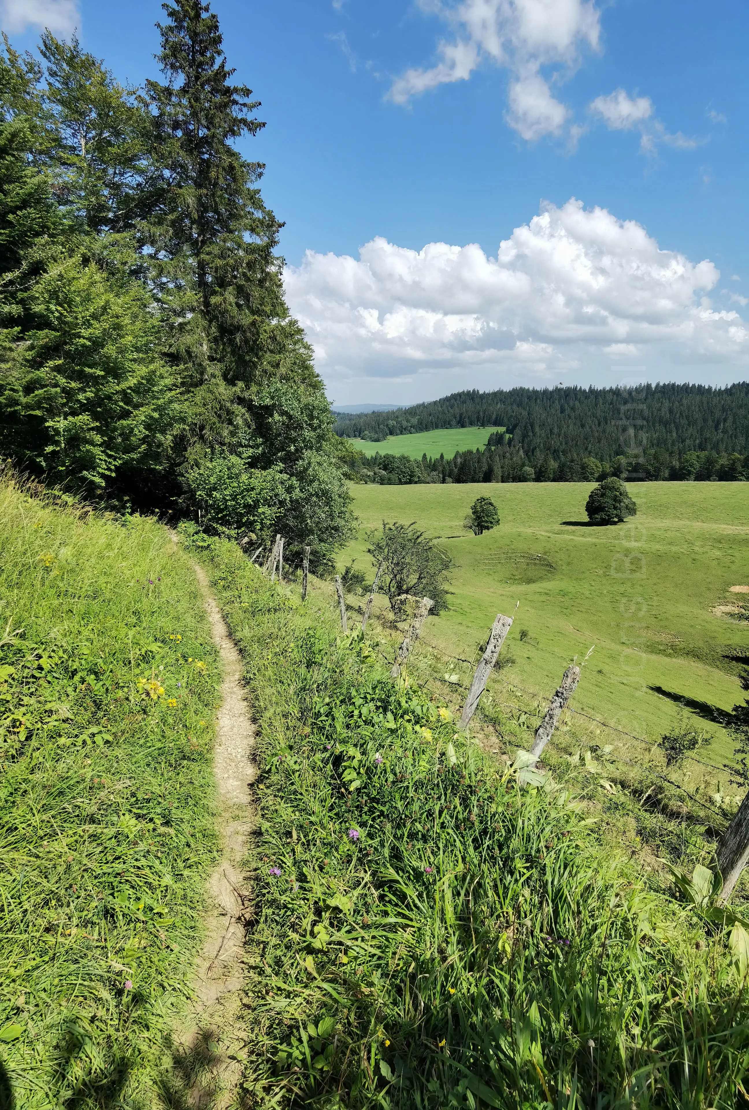 Sentier sur les flans de la Côte du Cerf