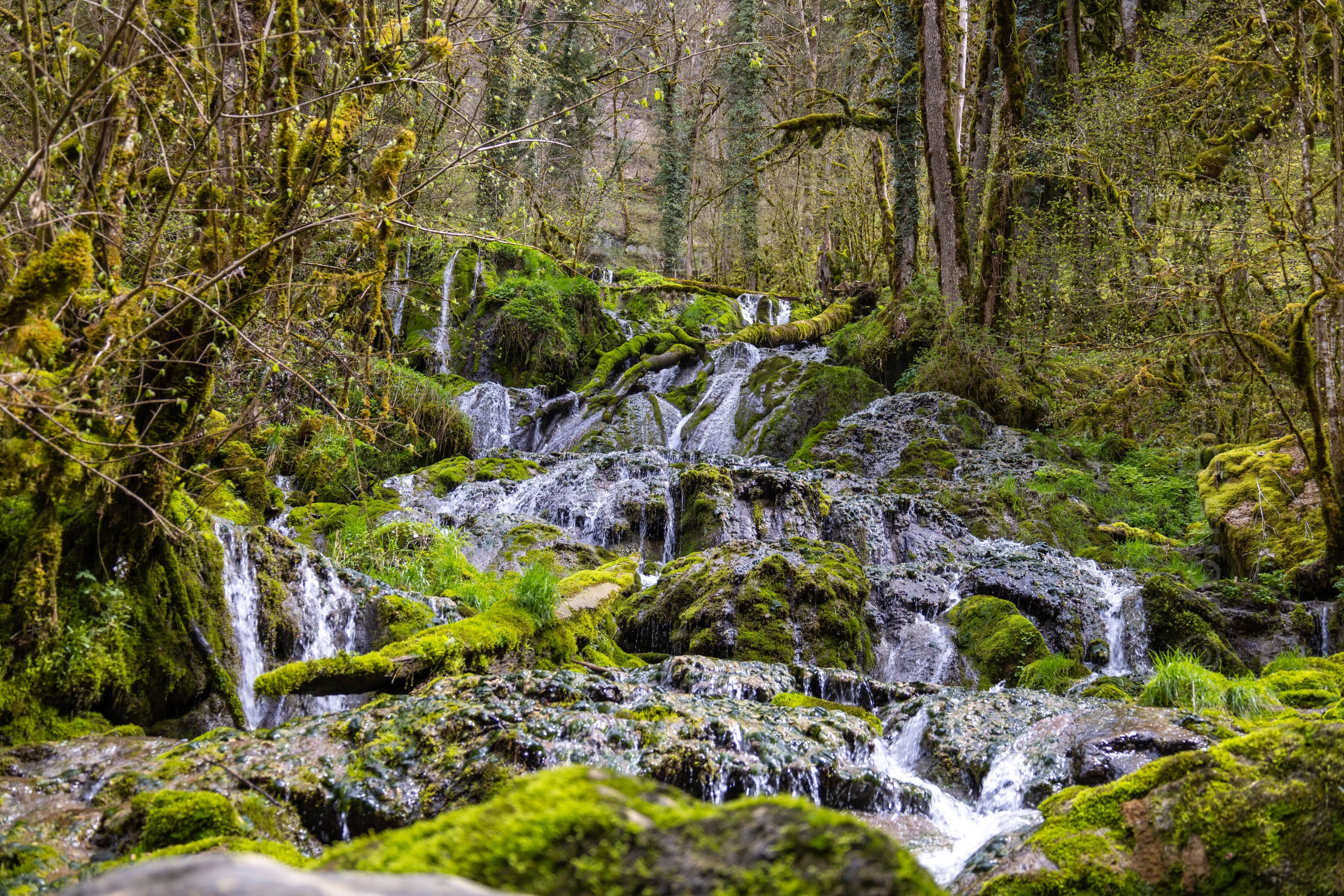 Cascade de la Source Noire, scène pittoresque avec flots abondants et mousse verte distinctive.