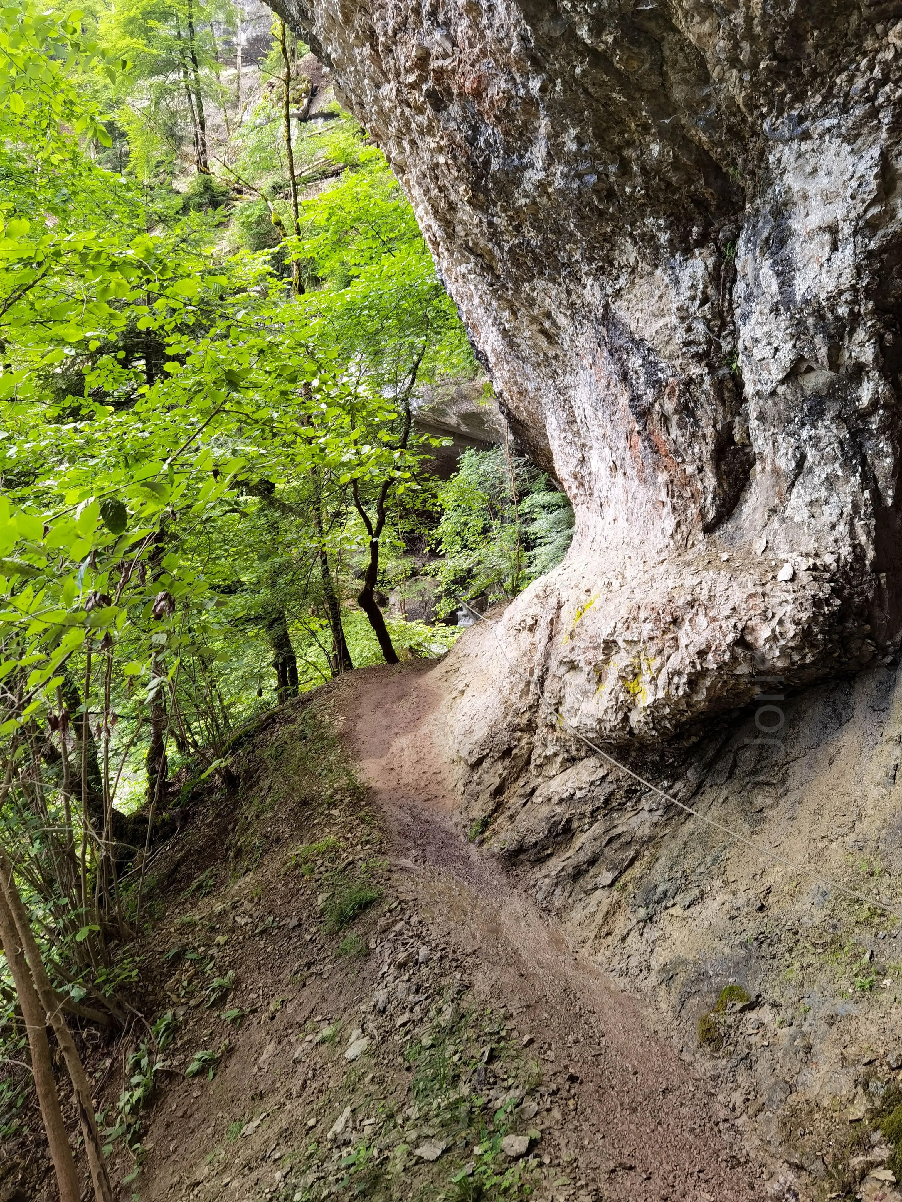Sentier crêté et terreux dans la forêt, flanqué de roches avec une corde pour sécuriser la marche.
