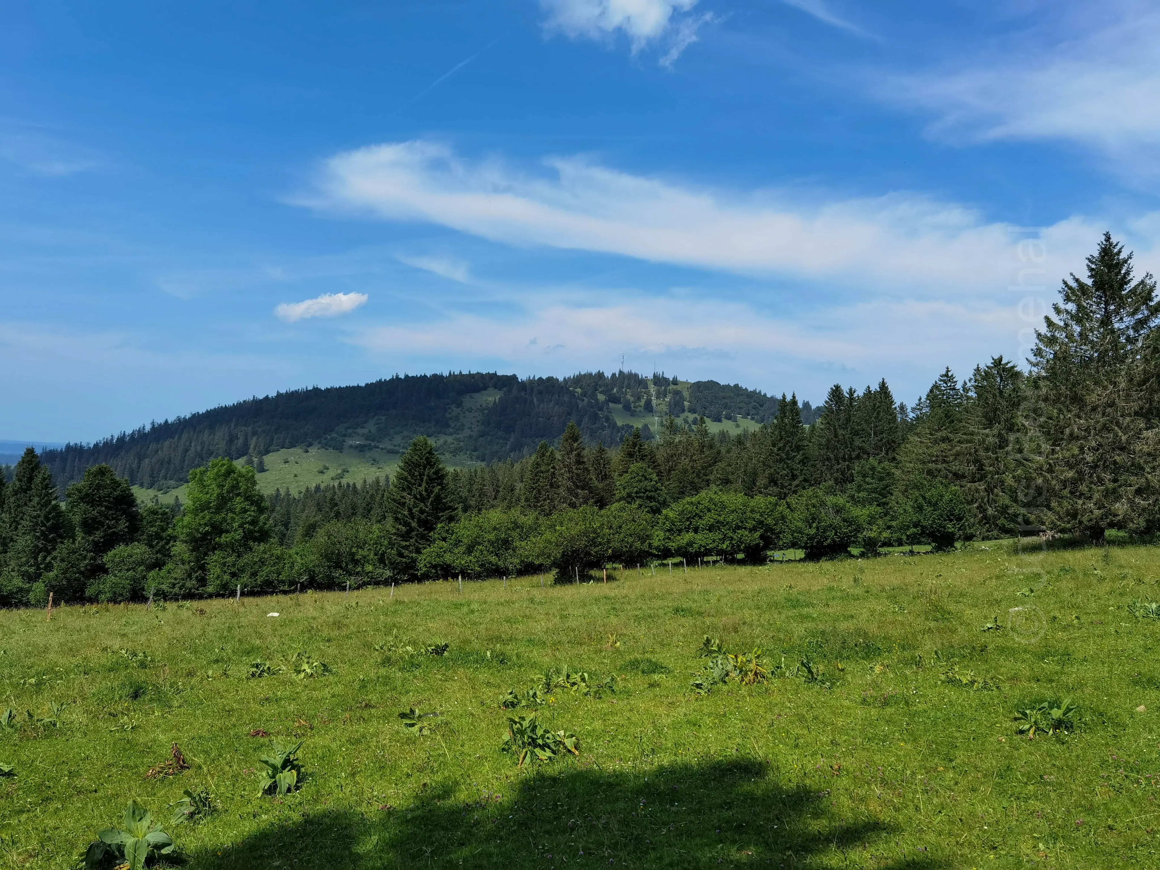 Paysage pastoral avec champs, arbres et sapins, le télésiège de Paradis à l'arrière-plan à Métabief.