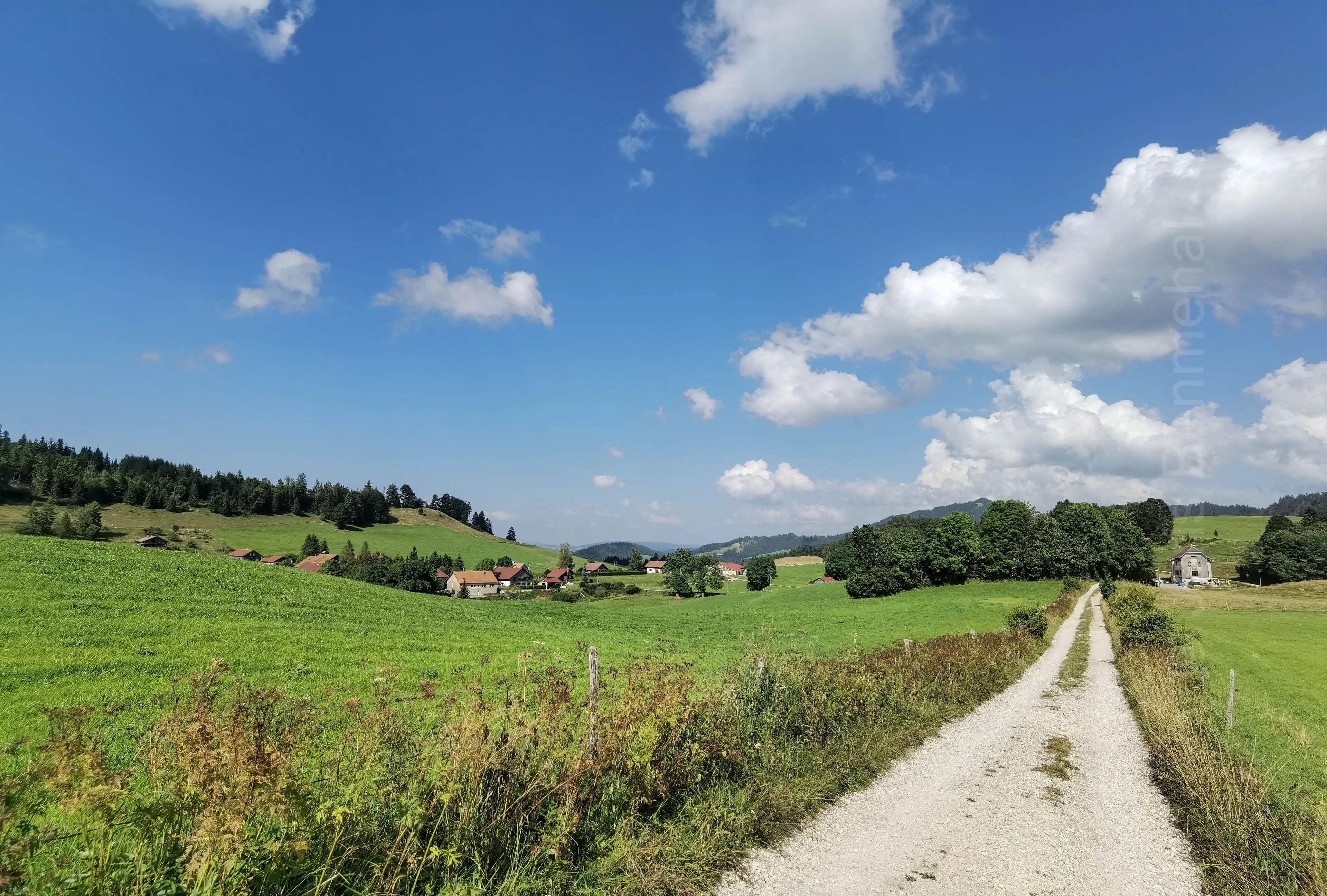 Sentier rural de la Voie des Moines traversant les champs avec des habitations en arrière-plan.